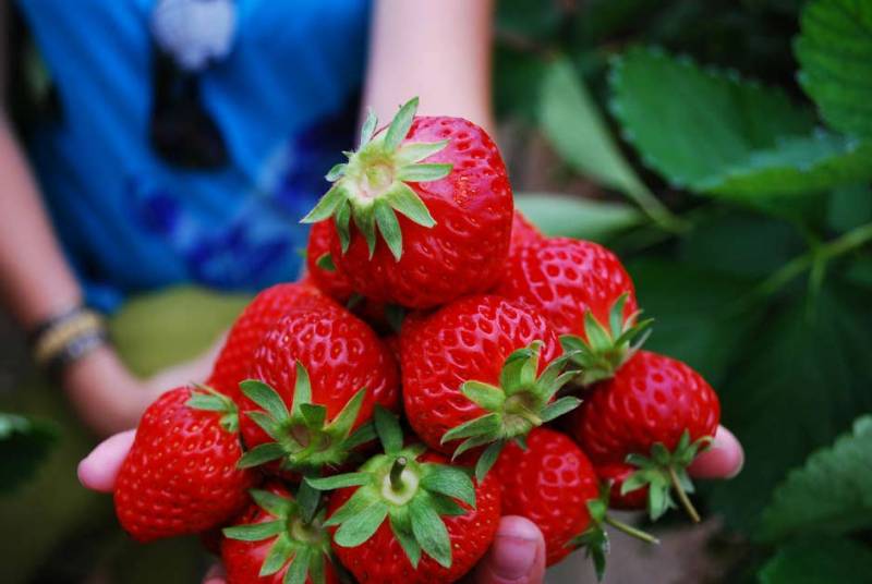 5c1389328b2c26086eb4a1a7503a43ca