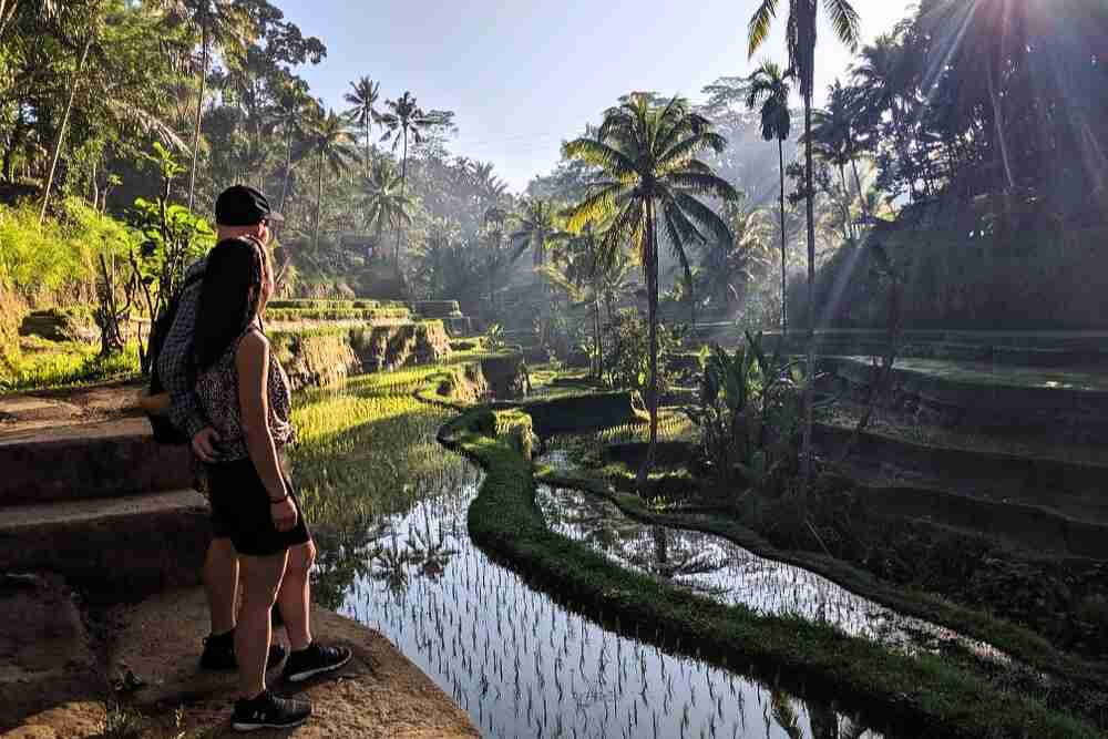 Wisata-Trekking-Sawah-Desa-Taro