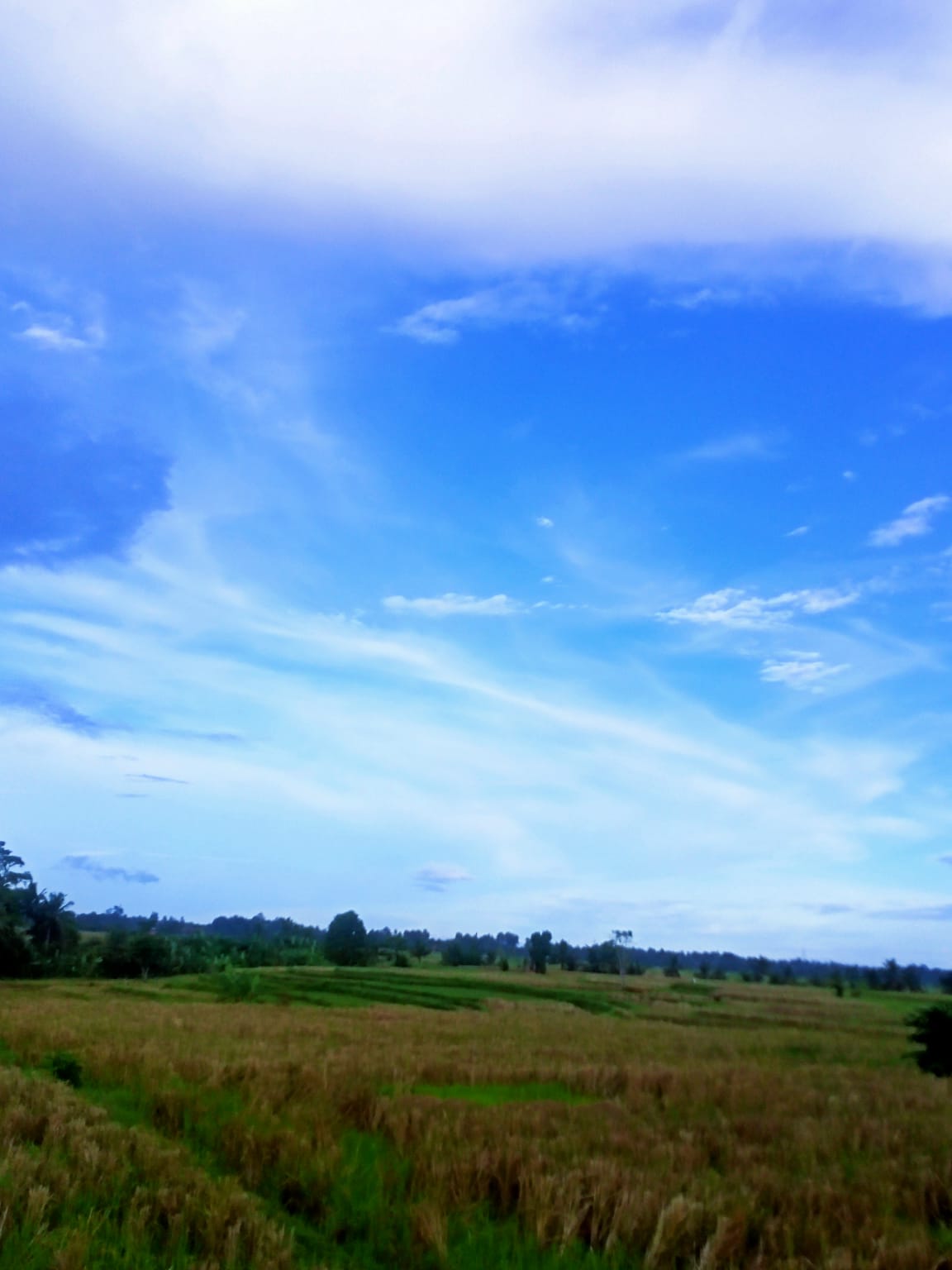 WhatsApp Image 2023-04-14 at 22.36.22 (2)