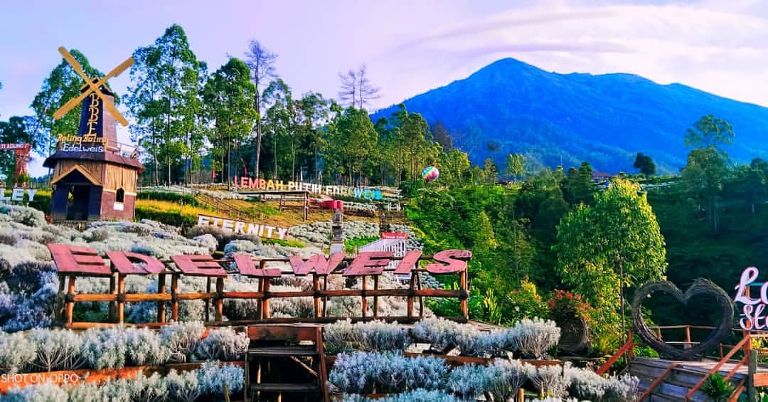 tamanedelweis_bali(JPG)