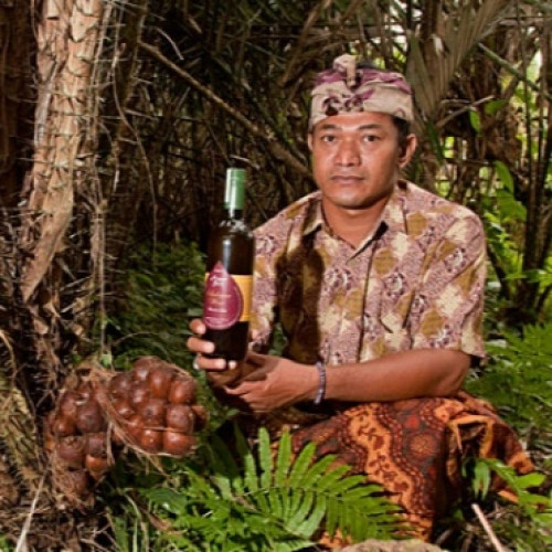 The Art of Balinese Fermentation: Arak & Salak Wine Daytrip